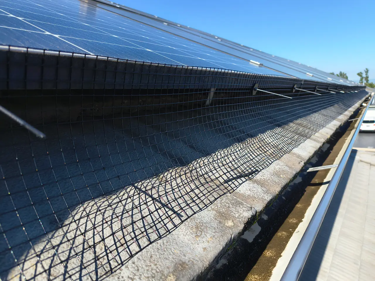 Bird proofing mesh installed along a solar panel array